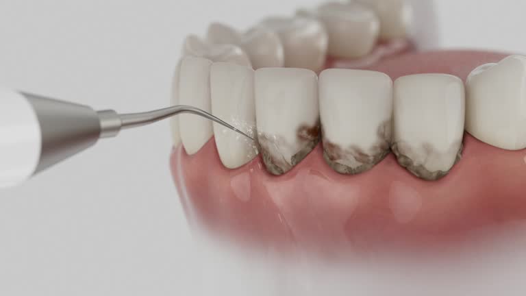 Reliable Dental contractor in Maryland City, MD by Dentist Open Now